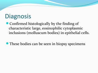 Diagnosis
Confirmed histologically by the finding of

characteristic large, eosinophilic cytoplasmic
inclusions (molluscum bodies) in epithelial cells.

These bodies can be seen in biopsy specimens

 