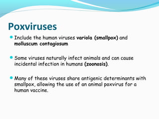 Poxviruses
Include the human viruses variola (smallpox) and

molluscum contagiosum

Some viruses naturally infect animals and can cause

incidental infection in humans (zoonosis).

Many of these viruses share antigenic determinants with

smallpox, allowing the use of an animal poxvirus for a
human vaccine.

 