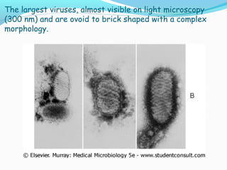 The largest viruses, almost visible on light microscopy
(300 nm) and are ovoid to brick shaped with a complex
morphology.

 