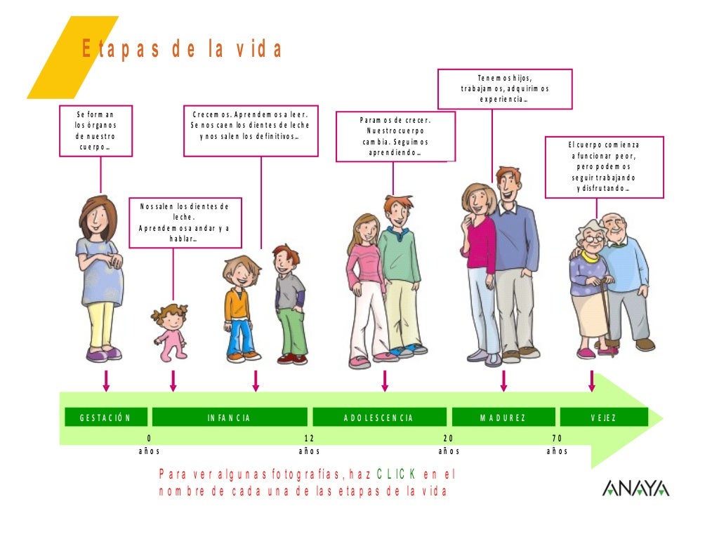 Tema 1 Cono 3º