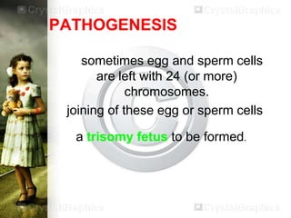 PATHOGENESIS
sometimes egg and sperm cells
are left with 24 (or more)
chromosomes.
joining of these egg or sperm cells

a trisomy fetus to be formed.

 