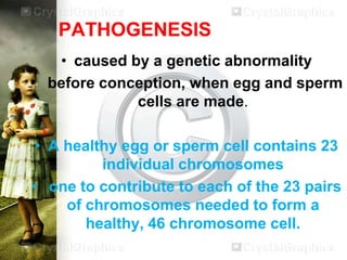 PATHOGENESIS
• caused by a genetic abnormality
• before conception, when egg and sperm
cells are made.

• A healthy egg or sperm cell contains 23
individual chromosomes
• one to contribute to each of the 23 pairs
of chromosomes needed to form a
healthy, 46 chromosome cell.

 