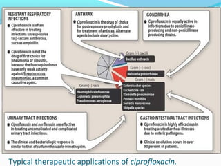 Typical therapeutic applications of ciprofloxacin.
 