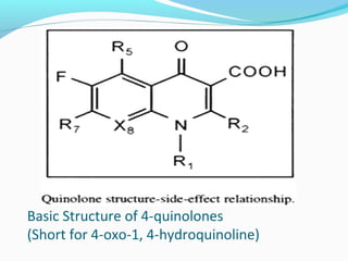 Basic Structure of 4-quinolones
(Short for 4-oxo-1, 4-hydroquinoline)
 