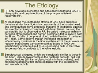 The Etiology   RF only develops in children and adolescents following GABHS pharyngitis, and only infections of the pharynx initiate or reactivate RF. At least some rheumatogenic strains of GAS have antigenic domains similar to antigens in components of the human heart, and some authors have proposed that anti-M antibodies against the streptococci may cross-react with heart tissue, causing the pancarditis that is observed in RF. So-called molecular mimicry between streptococcal and human proteins is felt to involve both the B and T cells of peripheral blood, with infiltration of the heart by T cells. Some believe that an increased production of inflammatory cytokines is the final mechanism of the autoimmune reaction that causes damage to cardiac tissue in RHD. An insufficiency of interleukin-4 (IL-4)–producing cells in the valve tissue may also contribute to the valve lesions. Streptococcal antigens, which are structurally similar to those in the heart, include hyaluronate in the bacterial capsule, cell wall polysaccharides (similar to glycoproteins in heart valves), and membrane antigens that share epitopes with the sarcolemma and smooth muscle. 