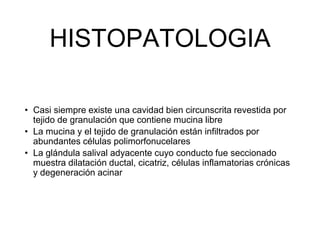 HISTOPATOLOGIA
• Casi siempre existe una cavidad bien circunscrita revestida por
tejido de granulación que contiene mucina libre
• La mucina y el tejido de granulación están infiltrados por
abundantes células polimorfonucelares
• La glándula salival adyacente cuyo conducto fue seccionado
muestra dilatación ductal, cicatriz, células inflamatorias crónicas
y degeneración acinar
 