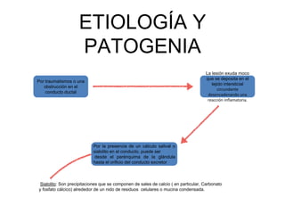 ETIOLOGÍA Y
PATOGENIA
Por traumatismos o una
obstrucción en el
conducto ductal
Por la presencia de un cálculo salival o
sialolito en el conducto, puede ser
desde el parénquima de la glándula
hasta el orificio del conducto excretor
La lesión exuda moco
que se deposita en el
tejido intersticial
circundante
desencadenando una
reacción inflamatoria.
Sialolito: Son precipitaciones que se componen de sales de calcio ( en particular, Carbonato
y fosfato cálcico) alrededor de un nido de residuos celulares o mucina condensada.
 