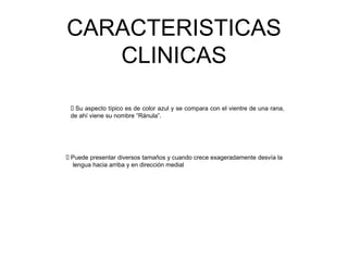 CARACTERISTICAS
CLINICAS
 Su aspecto típico es de color azul y se compara con el vientre de una rana,
de ahí viene su nombre “Ránula”.
 Puede presentar diversos tamaños y cuando crece exageradamente desvía la
lengua hacia arriba y en dirección medial
 