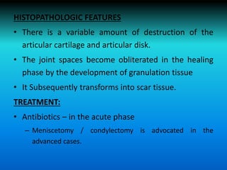 HISTOPATHOLOGIC FEATURES
• There is a variable amount of destruction of the
articular cartilage and articular disk.
• The joint spaces become obliterated in the healing
phase by the development of granulation tissue
• It Subsequently transforms into scar tissue.
TREATMENT:
• Antibiotics – in the acute phase
– Meniscetomy / condylectomy is advocated in the
advanced cases.
 