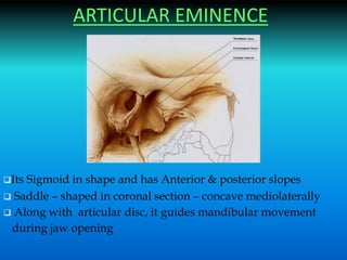 ARTICULAR EMINENCE
Its Sigmoid in shape and has Anterior & posterior slopes
 Saddle – shaped in coronal section – concave mediolaterally
 Along with articular disc, it guides mandibular movement
during jaw opening
 