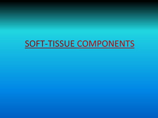 SOFT-TISSUE COMPONENTS
 