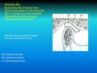 • Articular disc
Seperating the 2 bones from
direct articulation is the Articular
disc. It serves as a non ossified
bone that permits complex
movements of the joint.
- The disc is composed of dense
fibrous connective tissue
AB- anterior border
PB- posterior border
IZ- intermediate zone
 