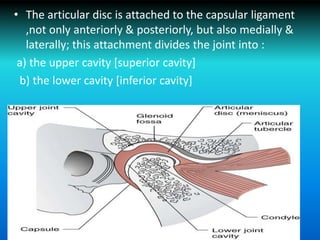 • The articular disc is attached to the capsular ligament
,not only anteriorly & posteriorly, but also medially &
laterally; this attachment divides the joint into :
a) the upper cavity [superior cavity]
b) the lower cavity [inferior cavity]
 