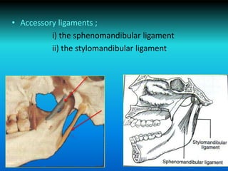 • Accessory ligaments ;
i) the sphenomandibular ligament
ii) the stylomandibular ligament
 