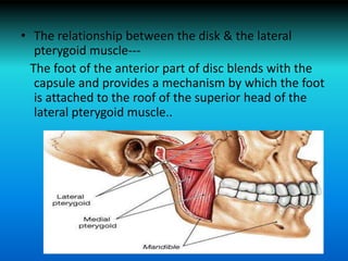 • The relationship between the disk & the lateral
pterygoid muscle---
The foot of the anterior part of disc blends with the
capsule and provides a mechanism by which the foot
is attached to the roof of the superior head of the
lateral pterygoid muscle..
 