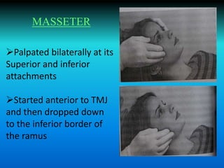 Palpated bilaterally at its
Superior and inferior
attachments
Started anterior to TMJ
and then dropped down
to the inferior border of
the ramus
MASSETER
 