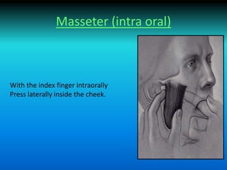 Masseter (intra oral)
With the index finger intraorally
Press laterally inside the cheek.
 