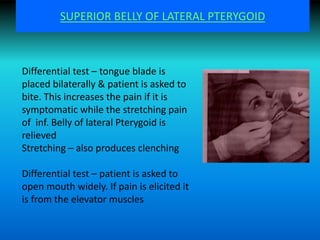 Differential test – tongue blade is
placed bilaterally & patient is asked to
bite. This increases the pain if it is
symptomatic while the stretching pain
of inf. Belly of lateral Pterygoid is
relieved
Stretching – also produces clenching
Differential test – patient is asked to
open mouth widely. If pain is elicited it
is from the elevator muscles
SUPERIOR BELLY OF LATERAL PTERYGOID
 