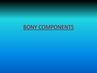 BONY COMPONENTS
 