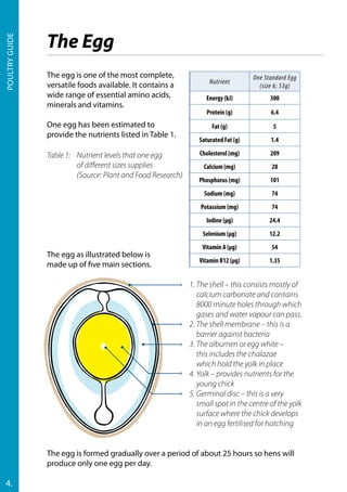 poultry guide | PDF