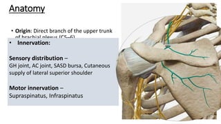 RFA targets conventional,pulsed.pptx