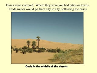 Oasis in the middle of the desert.  Oases were scattered.  Where they were you had cities or towns.  Trade routes would go from city to city, following the oases. 