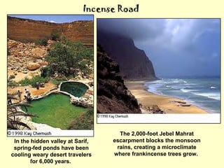 Incense Road The 2,000-foot Jebel Mahrat escarpment blocks the monsoon rains, creating a microclimate where frankincense trees grow.  In the hidden valley at Sarif, spring-fed ponds have been cooling weary desert travelers for 6,000 years.  