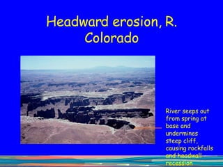 Headward erosion, R. Colorado River seeps out from spring at base and undermines steep cliff, causing rockfalls and headwall recession 