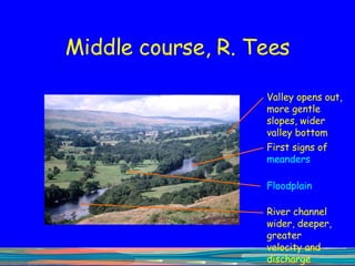 Middle course, R. Tees Valley opens out, more gentle slopes, wider valley bottom First signs of  meanders Floodplain River channel wider, deeper, greater velocity and discharge 