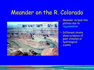 Meander on the R. Colorado Meander incised into plateau due to  rejuvenation Different strata show evidence of past climates or hydrological events  