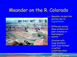 Meander on the R. Colorado Meander incised into plateau due to  rejuvenation Different strata show evidence of past climates or hydrological events. Stratum with large boulders must have formed in wetter conditions when higher river discharge carried a greater  competence  of load 