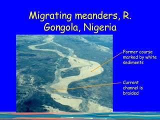 Migrating meanders, R. Gongola, Nigeria Former course marked by white sediments Current channel is braided 