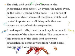  The citric acid cycle — also known as the
tricarboxylic acid cycle (TCA cycle), the Krebs cycle,
or the Szent-Györgyi-Krebs cycle — is a series of
enzyme-catalysed chemical reactions, which is of
central importance in all living cells that use
oxygen as part of cellular respiration.
 In eukaryotic cells, the citric acid cycle occurs in
the matrix of the mitochondrion. The components
and reactions of the citric acid cycle were
established by seminal work from Albert Szent-
Györgyi and Hans Krebs.
 