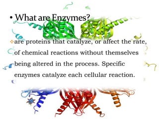 are proteins that catalyze, or affect the rate,
of chemical reactions without themselves
being altered in the process. Specific
enzymes catalyze each cellular reaction.
 