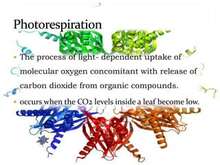  The process of light- dependent uptake of
molecular oxygen concomitant with release of
carbon dioxide from organic compounds.
 occurs when the CO2 levels inside a leaf become low.
 