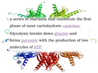  a series of reactions that constitute the first
phase of most carbohydrate catabolism.
 Glycolysis breaks down glucose and
forms pyruvate with the production of two
molecules of ATP.
 