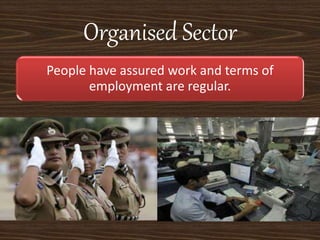 Organised Sector
People have assured work and terms of
employment are regular.
 