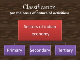 Classification
(on the basis of nature of activities)
Sectors of indian
economy
Primary Secondary Tertiary
 