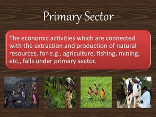 Primary Sector
The economic activities which are connected
with the extraction and production of natural
resources, for e.g., agriculture, fishing, mining,
etc., falls under primary sector.
 