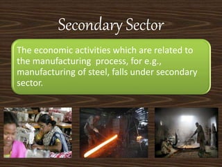 Secondary Sector
The economic activities which are related to
the manufacturing process, for e.g.,
manufacturing of steel, falls under secondary
sector.
 