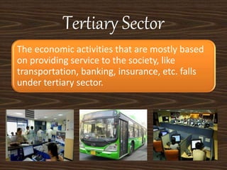 Tertiary Sector
The economic activities that are mostly based
on providing service to the society, like
transportation, banking, insurance, etc. falls
under tertiary sector.
 