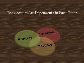 The 3 Sectors Are Dependent On Each Other
 