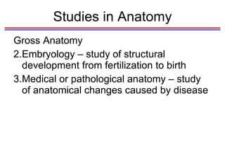 Studies in Anatomy Gross Anatomy Embryology – study of structural development from fertilization to birth Medical or pathological anatomy – study of anatomical changes caused by disease 