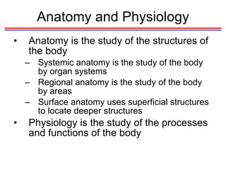 Anatomy and Physiology Anatomy is the study of the structures of the body Systemic anatomy is the study of the body by organ systems Regional anatomy is the study of the body by areas Surface anatomy uses superficial structures to locate deeper structures Physiology is the study of the processes and functions of the body 