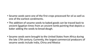 • Sesame seeds were one of the first crops processed for oil as well as
one of the earliest condiments.
• The addition of sesame seeds to baked goods can be traced back to
ancient Egyptian times from an ancient tomb painting that depicts a
baker adding the seeds to bread dough.
• Sesame seeds were brought to the United States from Africa during
the late 17th century. Currently, the largest commercial producers of
sesame seeds include India, China and Mexico
 