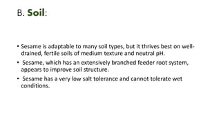 B. Soil:
• Sesame is adaptable to many soil types, but it thrives best on well-
drained, fertile soils of medium texture and neutral pH.
• Sesame, which has an extensively branched feeder root system,
appears to improve soil structure.
• Sesame has a very low salt tolerance and cannot tolerate wet
conditions.
 