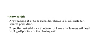 • Row Width
• A row spacing of 27 to 40 inches has shown to be adequate for
sesame production.
• To get the desired distance between drill rows the farmers will need
to plug off portions of the planting unit.
 