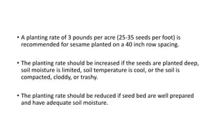 • A planting rate of 3 pounds per acre (25-35 seeds per foot) is
recommended for sesame planted on a 40 inch row spacing.
• The planting rate should be increased if the seeds are planted deep,
soil moisture is limited, soil temperature is cool, or the soil is
compacted, cloddy, or trashy.
• The planting rate should be reduced if seed bed are well prepared
and have adequate soil moisture.
 