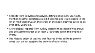 • Records from Babylon and Assyria, dating about 4000 years ago,
mention sesame. Egyptians called it sesemt, and it is included in the
list of medicinal drugs in the scrolls of the Ebers Papyrus dated to be
over 3600 years old.
• Archeological reports from Turkey indicate that sesame was grown
and pressed to extract oil at least 2750 years ago in the empire of
Urartu.
• The historic origin of sesame was favored by its ability to grow in
areas that do not support the growth of other crops.
 