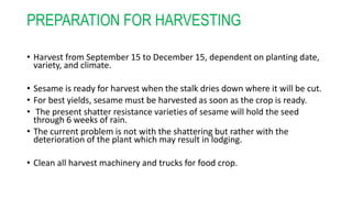 PREPARATION FOR HARVESTING
• Harvest from September 15 to December 15, dependent on planting date,
variety, and climate.
• Sesame is ready for harvest when the stalk dries down where it will be cut.
• For best yields, sesame must be harvested as soon as the crop is ready.
• The present shatter resistance varieties of sesame will hold the seed
through 6 weeks of rain.
• The current problem is not with the shattering but rather with the
deterioration of the plant which may result in lodging.
• Clean all harvest machinery and trucks for food crop.
 